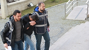 Biga'da Bonzaiden 1 Tutuklama