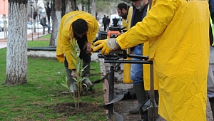 Çan Belediyesi Bahara Hazırlanıyor