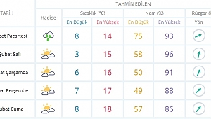 Cemrelerin Düşmeye Başlaması İle Hava Sıcaklıkları Artıyor