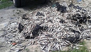 Kaçak Balık Avcılığına Ceza yağdı