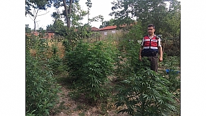 Biga'da Uyuşturucu Operasyonu