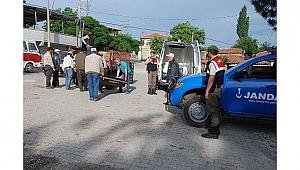 Kestiği ağacın altında kaldı