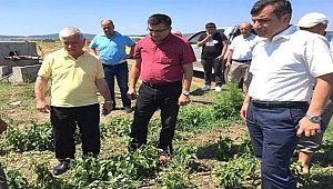 Başkan Ceylan: Tokatkırı mağdur edilmemeli !