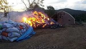Koyun çiftliğinde yulaf balyaları yandı