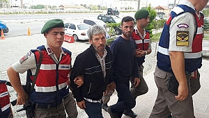 Biga'da hayvan hırsızlığı