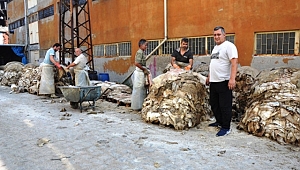 Biga'lı Tabakhaneciler Zor günler Geçiriyor