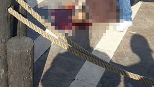 Truva Atı'ndan düşen adam feci şekilde can verdi (VİDEOLU HABER)