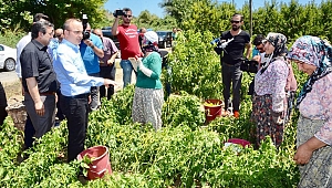 Üreticilerin Kredi Borçları Ertelendi