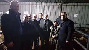 Biga'da Genç Çiftçilere Koyun Dağıtıldı