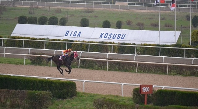 Biga Koşusu'nda 56 bin liralık ödül sahibini buldu