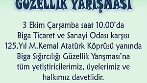 Biga Sığırcılığı Güzellik Yarışması'na davetlisiniz..!
