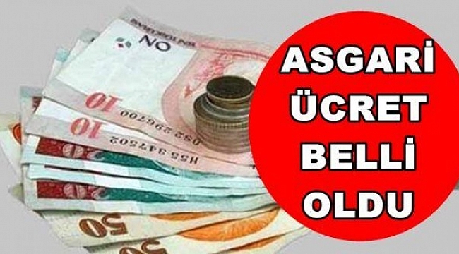 2019'da uygulanacak asgari ücret net 2 bin 20 TL