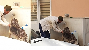 İNSANLIK ÖLMEMİŞ