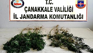 Biga'da Uyuşturucu Operasyonu 1 Göz Altı