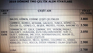 TMO ÇELTİK MÜDAHALE ALIM FİYATINI AÇIKLADI…