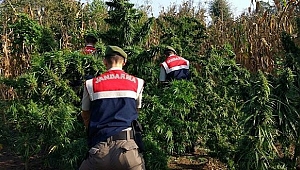 Biga'da uyuşturucu operasyonu