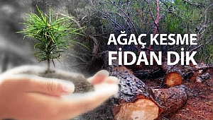 Ağaç Kesme Fidan Dik