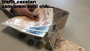 Pasaport, ehliyet harcı, trafik cezaları zam oranı belli oldu