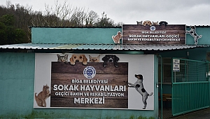 Hayvan Dostu Biga Belediyesi