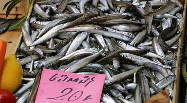 RESTORANLAR KAPANINCA BALIK HALİNDE ÇEŞİT ARTTI, FİYAT UCUZLADI