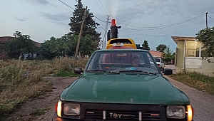 ÇELTİK SAHALARINDA SİVRİSİNEK MÜCADELESİ