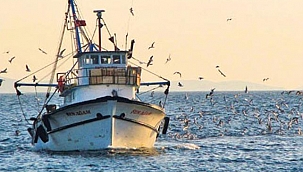 KÜÇÜK ÖLÇEKLİ BALIKÇILARA DESTEK