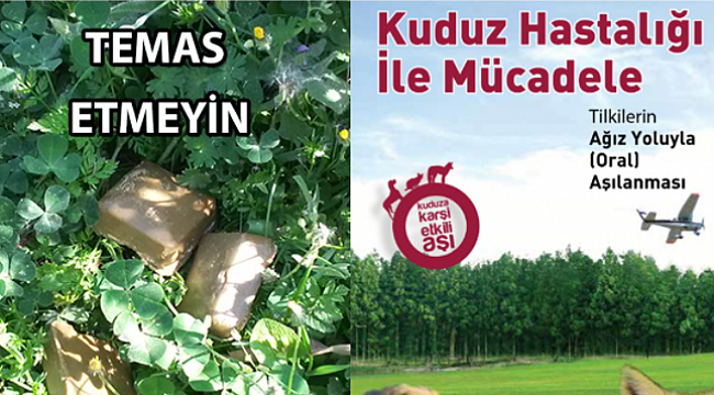 Kuduz Hastalığı ile Mücadele; TEMAS ETMEYİN