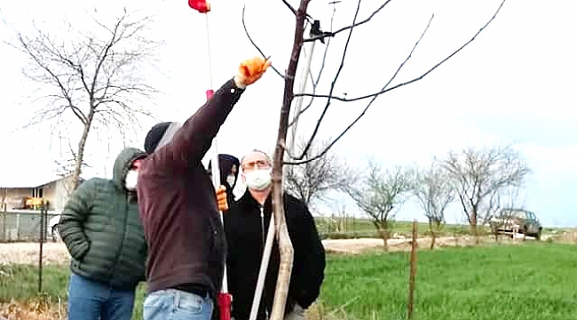 BİGA'DA UYGULAMALI "BUDAMA KURSU" VERİLDİ