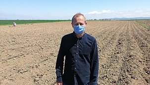 SABANLA TARLASINA ÇİZDİĞİ 'AY YILDIZ' VE 'TEK VATAN' YAZISI BEĞENİ TOPLADI