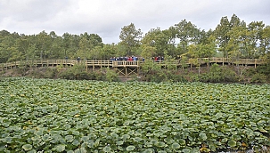 BAKAN PAKDEMİRLİ DOĞA HARİKASI NİLÜFER GÖLÜ'NDE 