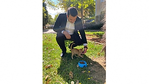 "BİR KAP MAMA BİR KAP SU"