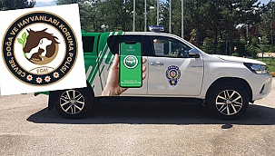 SOKAK KÖPEĞİNİ VURAN ŞAHIS YAKALANDI!