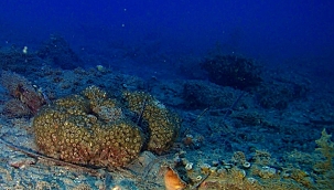 TÜRKİYE'NİN İLK SERT MERCAN RESİFİ KORUMA ALANINDA ÇOMÜ İMZASI