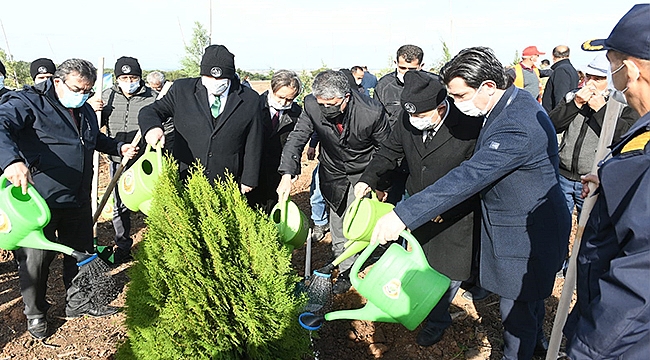 FİDANLAR TOPRAKLA BULUŞTU