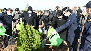 FİDANLAR TOPRAKLA BULUŞTU