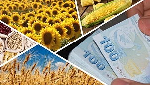 FARK ÖDEMESİ DESTEĞİ BAŞLADI