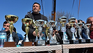 9. BÜYÜK TRUVA DEVE GÜREŞLERİ ŞÖLEN HAVASINDA GEÇTİ