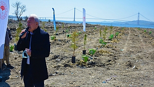 ''BİR FİDAN DİK ORMAN OLSUN, GELECEK UMUTLA DOLSUN''