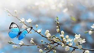 METEOROLOJİ BAHARIN MÜJDESİNİ VERDİ!