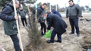 "TOPRAĞI VATAN YAPAN YİĞİTLERİN YEŞEREN FİDANLARI"