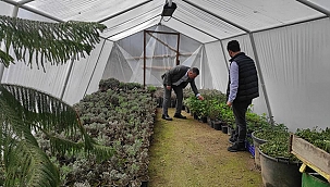 AYVACIK BELEDİYESİ ÜRETMEYE DEVAM EDİYOR