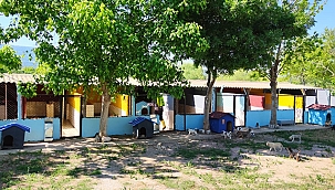 CAN DOSTLARIN YAŞAM ALANLARI PARAZİTLERE KARŞI İLAÇLANDI