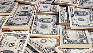 DOLARDAKİ YÜKSELİŞ DURDURULAMIYOR!