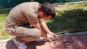 KEDİ KÖYÜNDE SAĞLIK TARAMASI GERÇEKLEŞTİRİLDİ