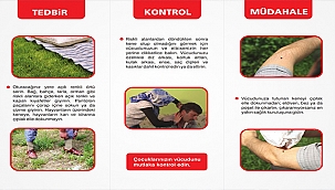 KIRIM KONGO KANAMALI ATEŞİ! 