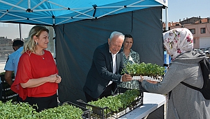 LAPSEKİ BELEDİYESİ 51 BİN DOMATES FİDESİ DAĞITTI