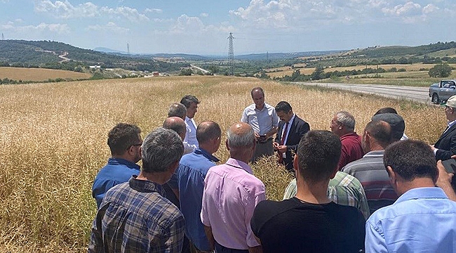 BAYRAMİÇ'TE DOLU YAĞIŞINDA ZARAR GÖREN BÖLGELER İNCELEDİ