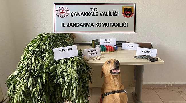 JANDARMA GEÇİT VERMEDİ!