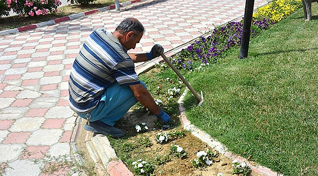 PARK VE BAHÇELERDE BAKIM ÇALIŞMASI YAPILDI