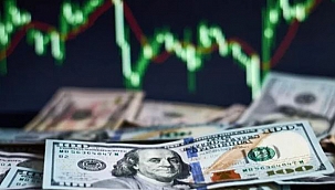 MERKEZ BANKASI'NIN FAİZ KARARI BEKLENİRKEN DOLAR 17,63 İLE REKOR KIRDI!